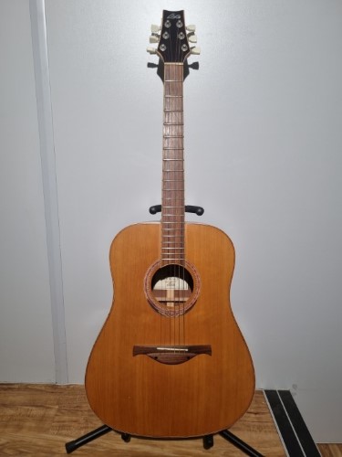 lag spring acoustic guitar