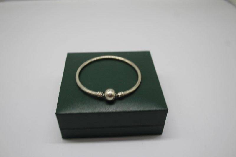 Silver hot sale bangle pandora