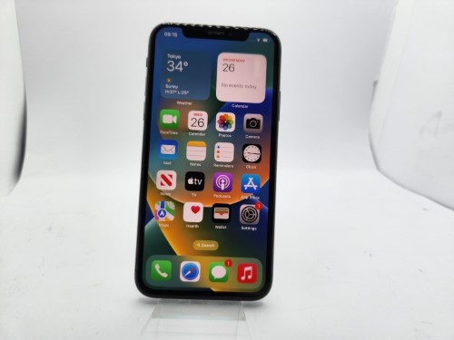 Apple 256GB, Unlocked iPhone X Mqc12j/A 256GB Black | 031300133253