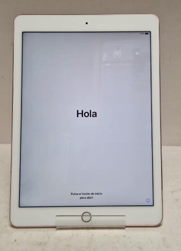 Apple 1st Gen iPad Pro 9.7