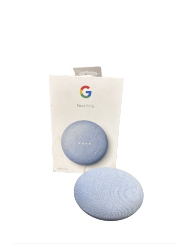 Blue best sale google mini