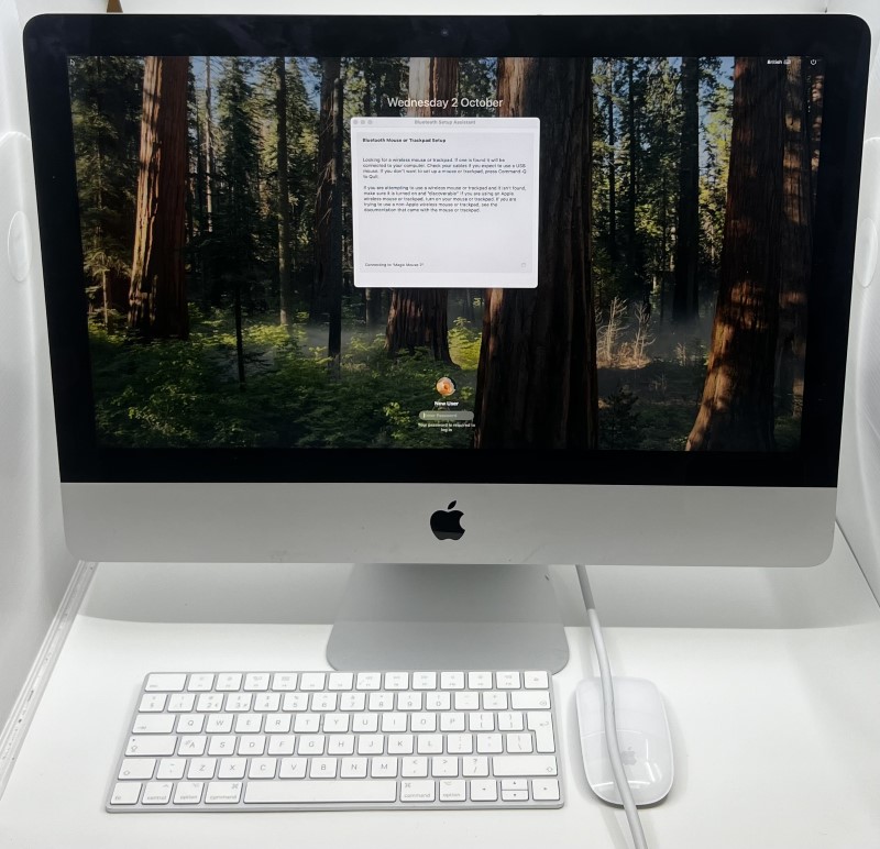 iMac（Retina 4K,21.5-inch,2019）1TB/8GB〈MRT32J/A〉⑥ 荒々し