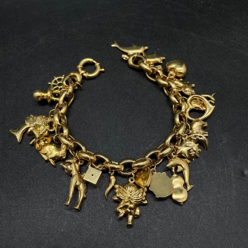 9ct 9Ct Charm Bracelet Yellow Gold Bracelet 33.3G | 054800036503 | Cash ...