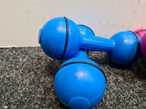 Davina dumbbells hot sale