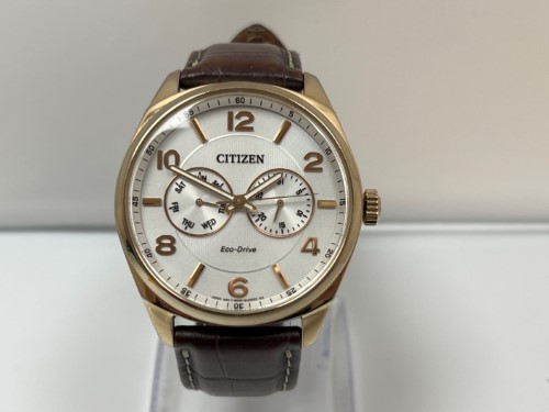 Citizen watch discount canada warehouse sale