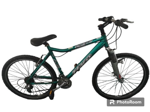 Green 2024 haro bike