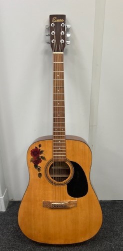 Encore deals w255 guitar