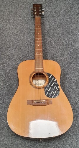 Encore deals w255 guitar