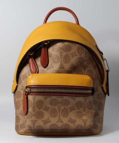 Coach best sale mustard bag