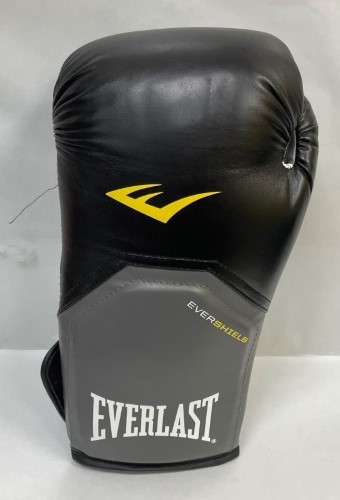 everlast ex boxing gloves