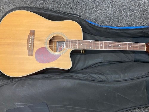 freshman 12 string acoustic guitar