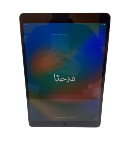 蒼さま専用 iPad Pro 10.5 ディスプレイ 64GB A1709